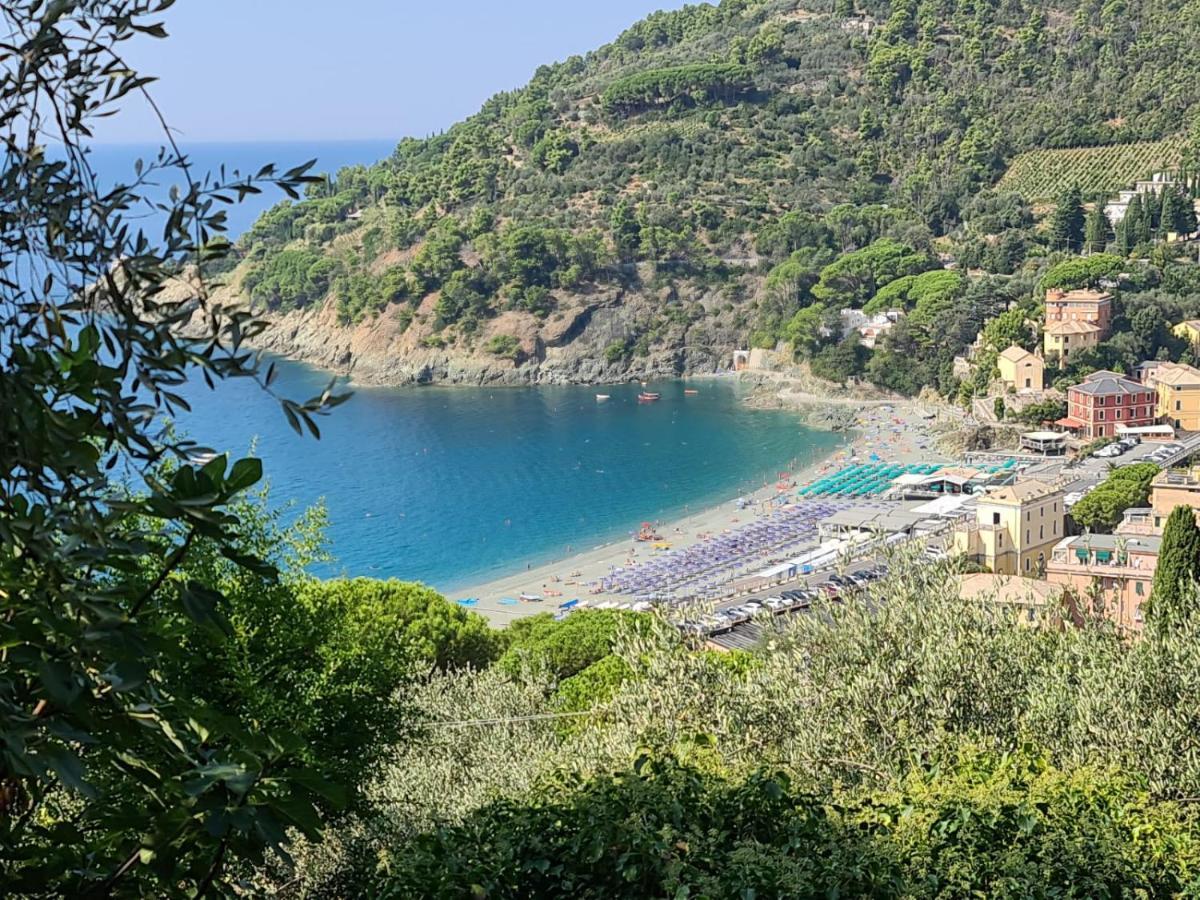Da Luca