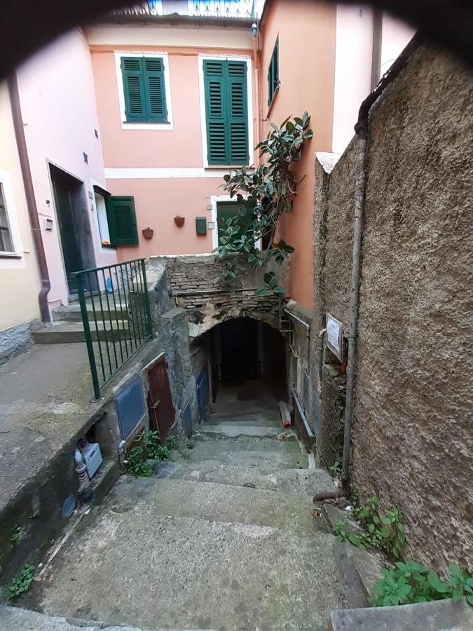 Da Luca *