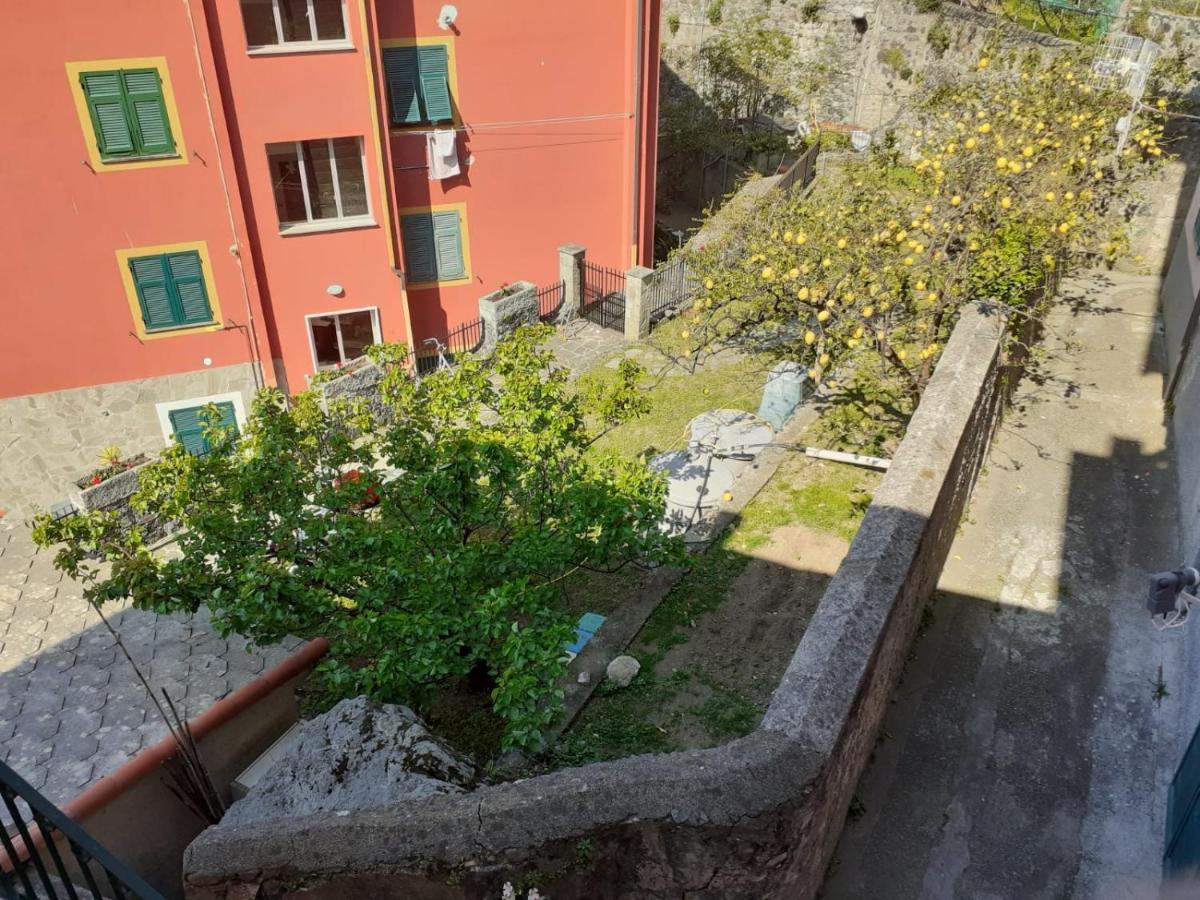 Guest house Da Luca Bonassola